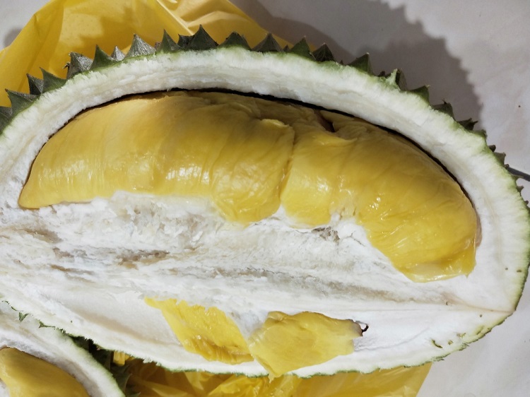 082851xrezxc9kp6krll6k 750.jpg