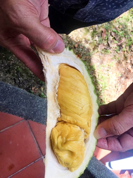 0828193dtuartrbza0ffrv 750.jpg