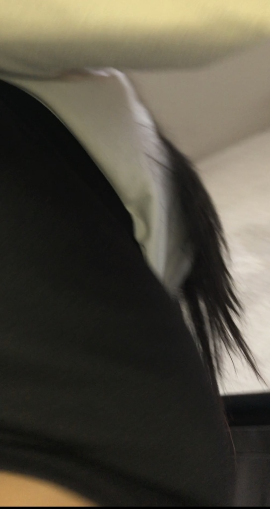 写真 2020-05-11 15 51 58.jpg