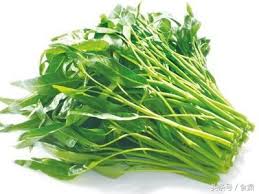 下載檔案 (2).jpeg