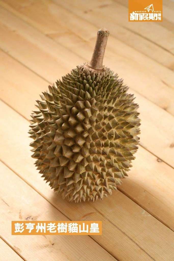在灣仔購買貓山皇，並不像彭亨州老樹貓山皇一樣有平坦的底部；只能夠平躺在桌上，而且不時左右滾動。.jpg.jpg