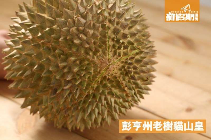 相反，於灣仔購買的貓山皇，底部不見任何星紋，倒是側部有一個不明顯的星紋；形狀比較古怪不自然。.jpg.jpg