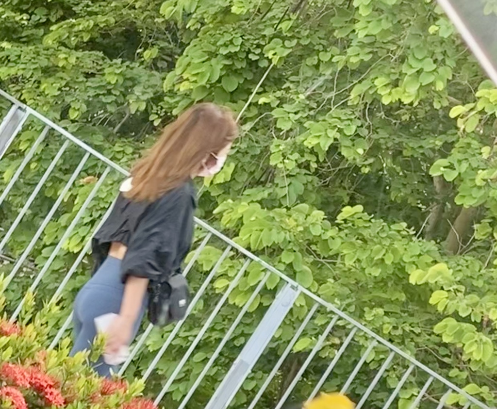 38566DB1-9EF3-45B2-81C2-15F2125322BB.jpeg