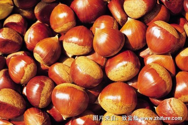 栗子.jpg