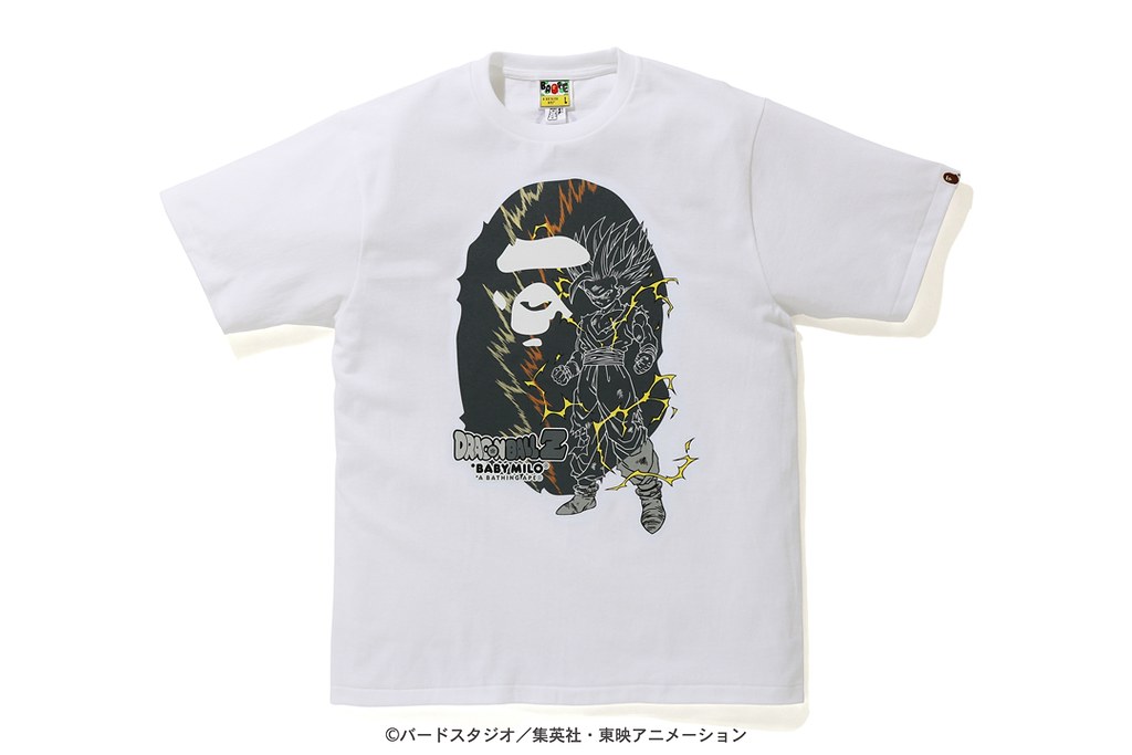 BAPE08.jpg