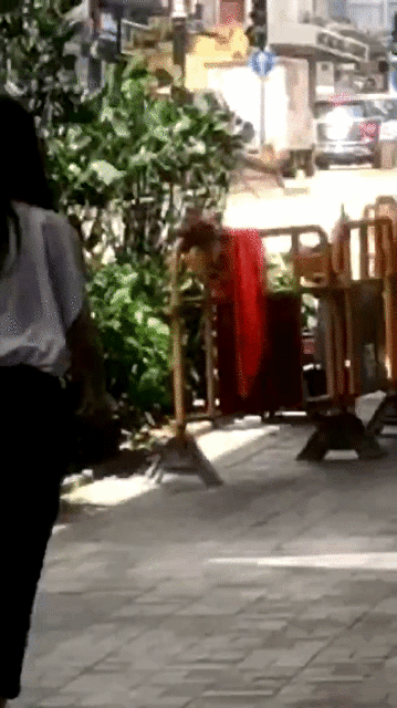 1594182874855_1.gif