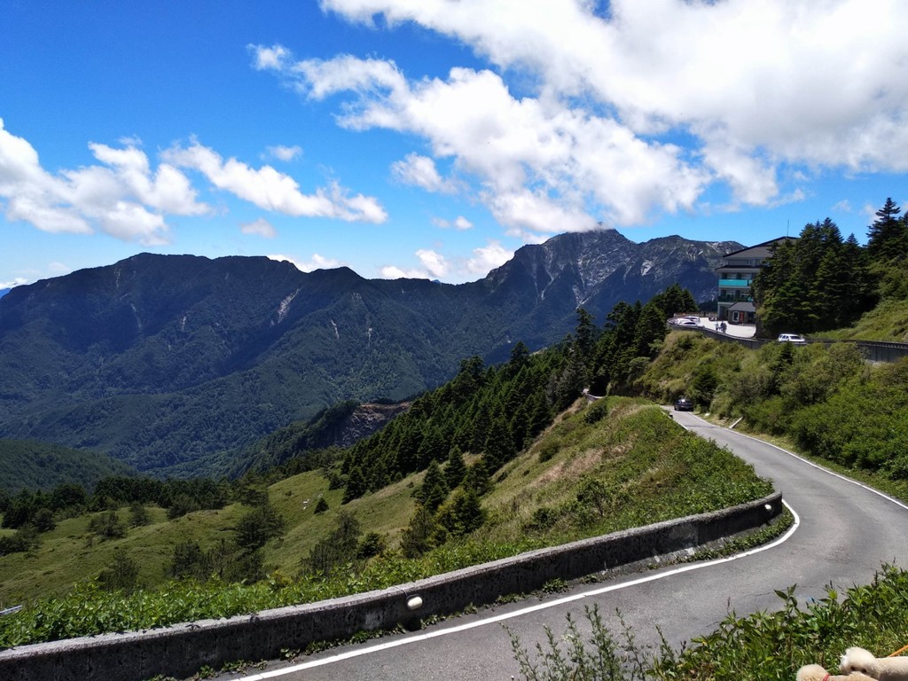 IMG_20200721_111309 [1600x1200].jpg