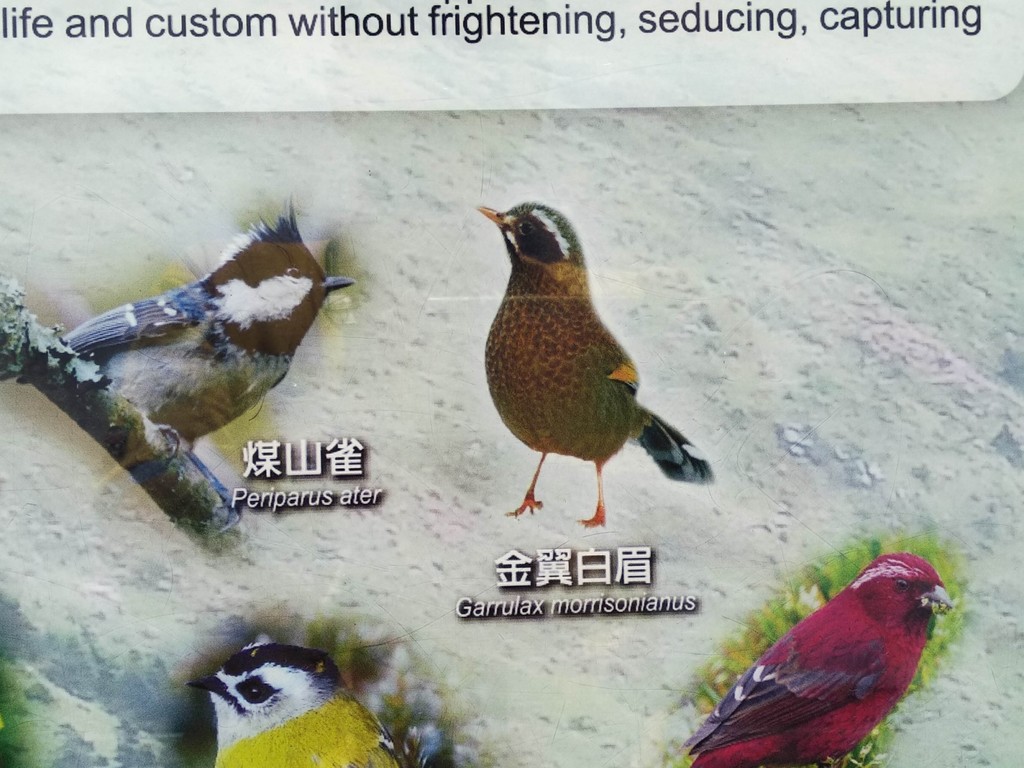 IMG_20200721_115140 [1600x1200].jpg