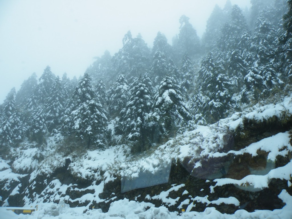 DSCF0412 [1600x1200].JPG