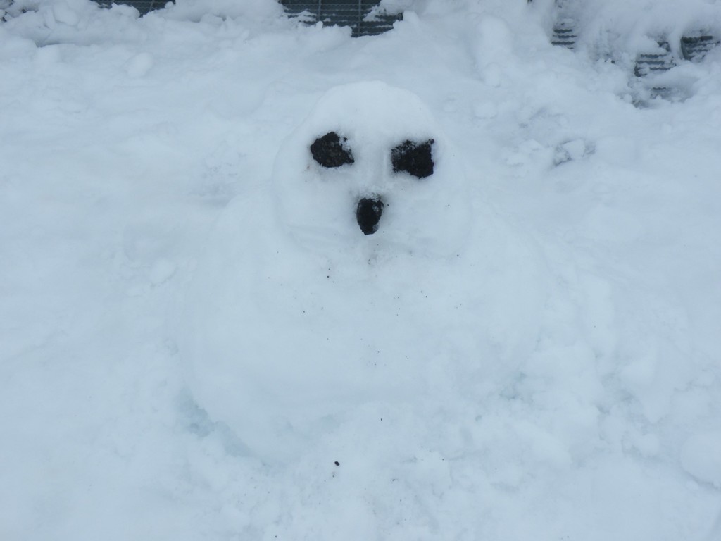 DSCF0457 [1600x1200].JPG