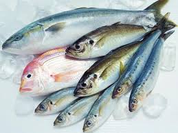 下載檔案 (2).jpeg