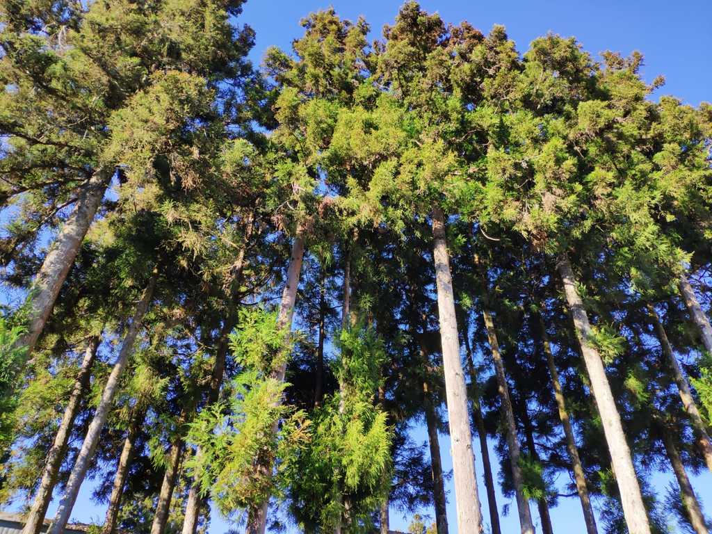 WhatsApp Image 2020-09-02 at 9.46.05 AM (5).jpeg