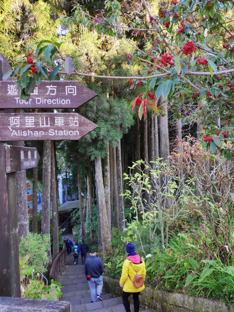 WhatsApp Image 2020-09-02 at 9.46.05 AM (3).jpeg