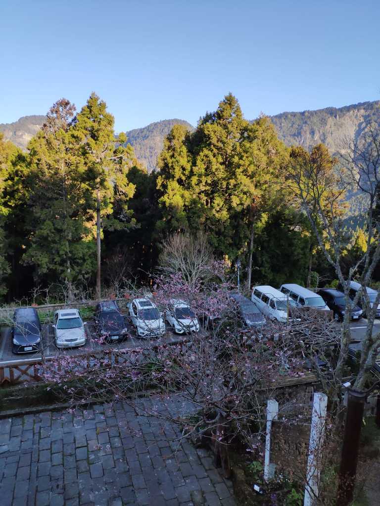 WhatsApp Image 2020-09-02 at 9.46.05 AM.jpeg