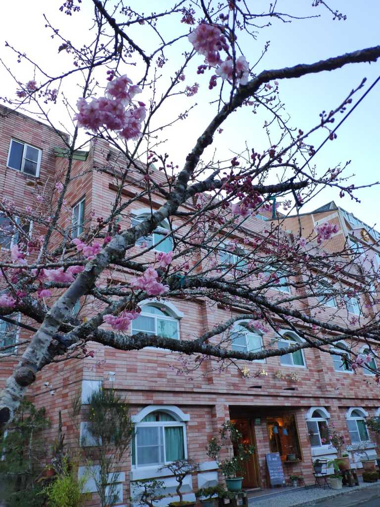 WhatsApp Image 2020-09-02 at 9.46.05 AM (1).jpeg