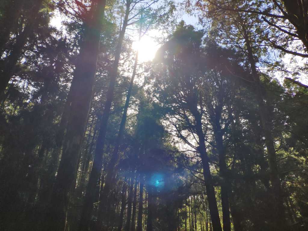 WhatsApp Image 2020-09-02 at 9.46.04 AM.jpeg