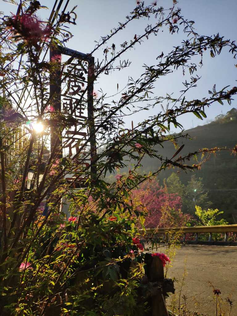 WhatsApp Image 2020-09-03 at 6.16.53 PM (3).jpeg