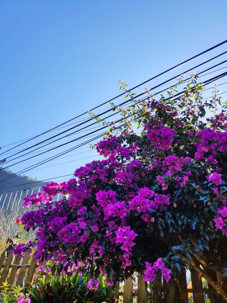 WhatsApp Image 2020-09-03 at 6.16.50 PM (3).jpeg