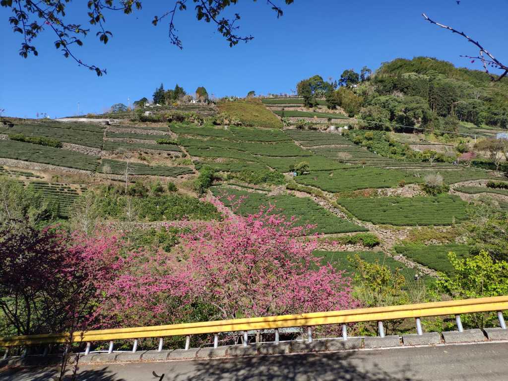 WhatsApp Image 2020-09-03 at 6.16.49 PM (4).jpeg