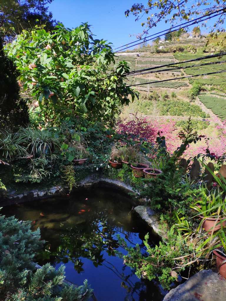 WhatsApp Image 2020-09-03 at 6.16.49 PM (2).jpeg