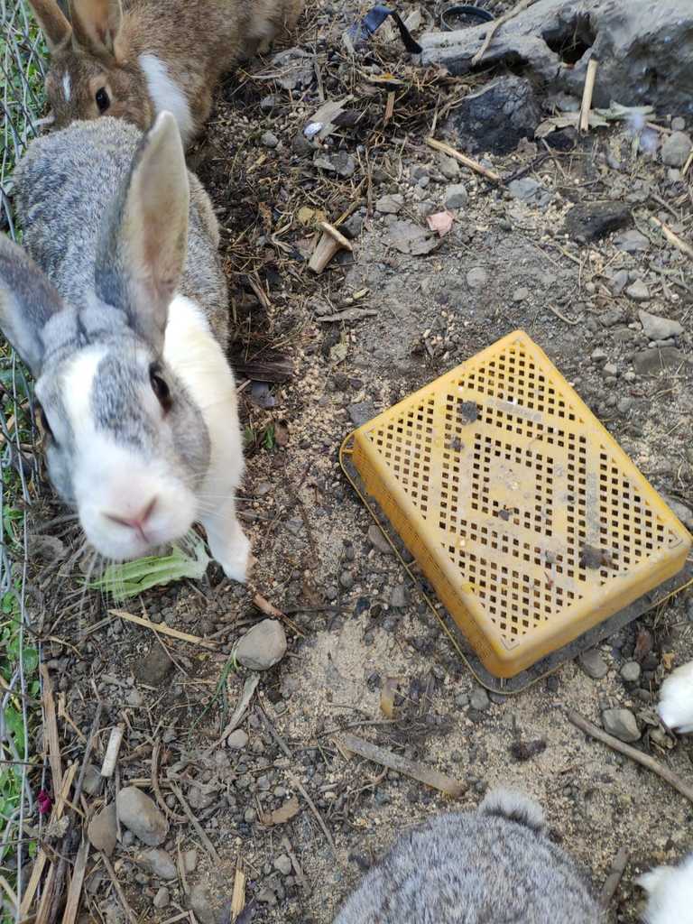 WhatsApp Image 2020-09-03 at 6.16.54 PM (1).jpeg