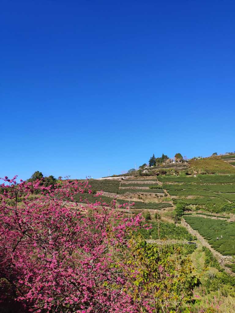 WhatsApp Image 2020-09-03 at 6.16.50 PM (2).jpeg