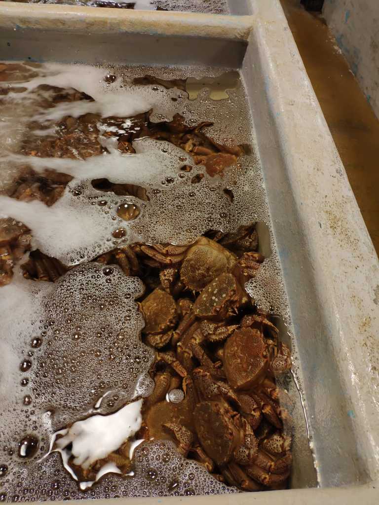 WhatsApp Image 2020-09-09 at 1.51.24 PM.jpeg