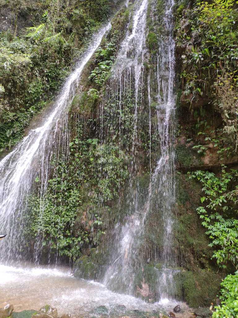 WhatsApp Image 2020-09-12 at 5.16.09 PM.jpeg