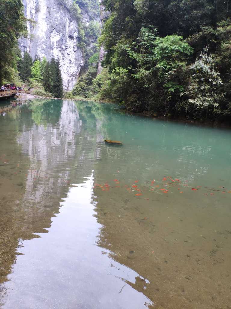 WhatsApp Image 2020-09-12 at 5.17.08 PM (1).jpeg