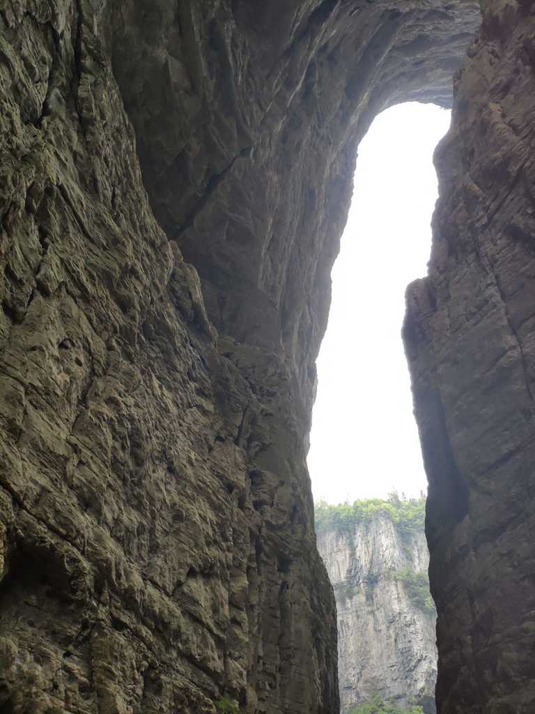 WhatsApp Image 2020-09-12 at 5.17.08 PM (5).jpeg