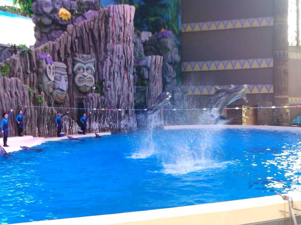 WhatsApp Image 2020-09-23 at 12.35.44 AM (3).jpeg