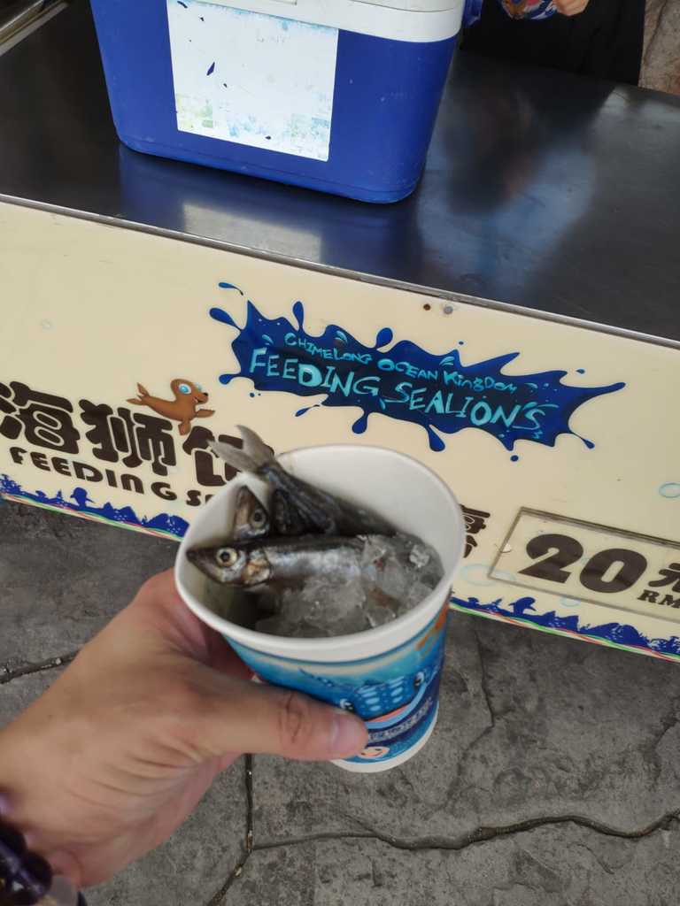 WhatsApp Image 2020-09-23 at 12.35.44 AM (1).jpeg