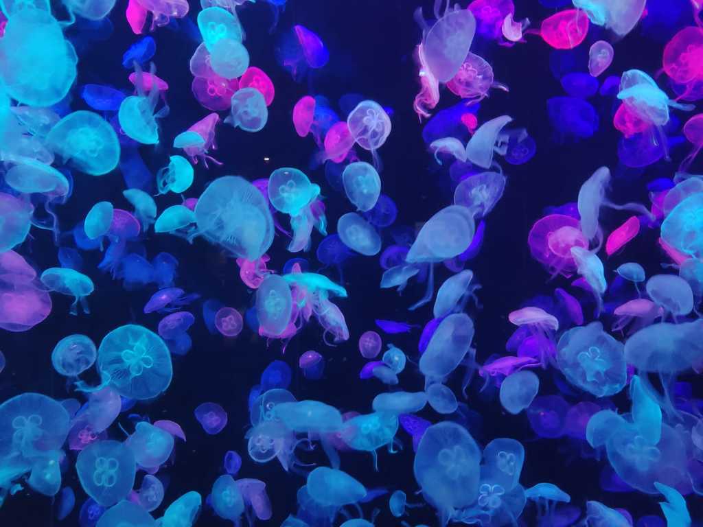 WhatsApp Image 2020-09-23 at 12.35.43 AM (1).jpeg