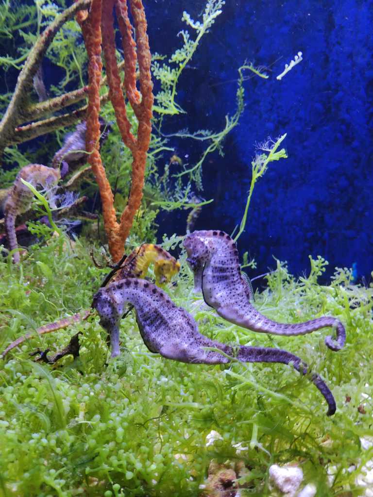 WhatsApp Image 2020-09-23 at 12.35.42 AM (1).jpeg