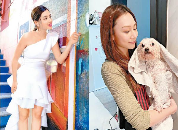師妹當選即有廣告拍，黃嘉雯就去學寵物美容，對比甚大！.jpg