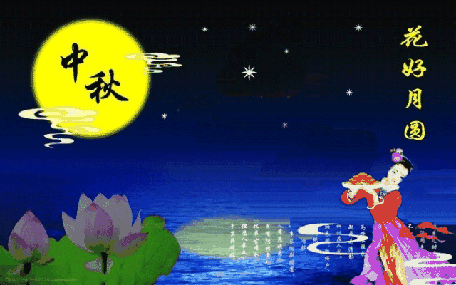 B16049D6-4BF5-4E97-AC54-02CBF3535245.gif