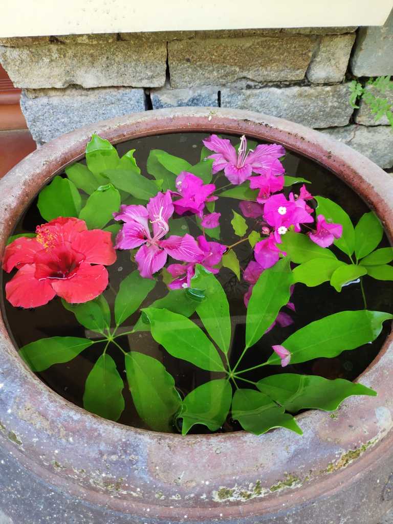 WhatsApp Image 2020-09-27 at 12.09.58 PM.jpeg