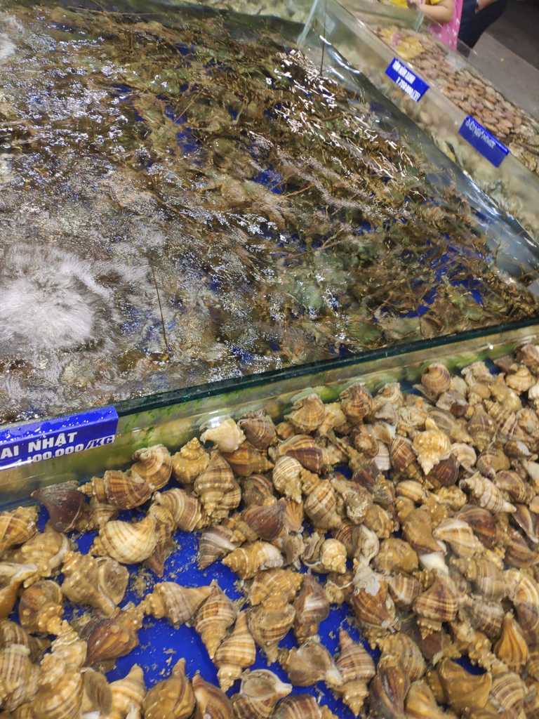 WhatsApp Image 2020-09-27 at 11.52.22 AM (1).jpeg