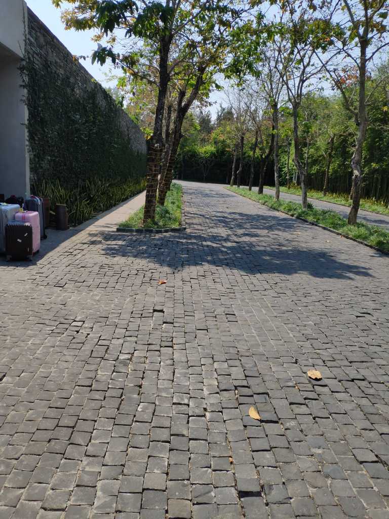 WhatsApp Image 2020-10-01 at 11.15.41 AM (1).jpeg