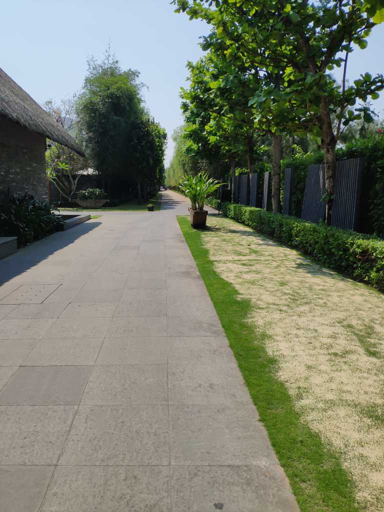 WhatsApp Image 2020-10-01 at 11.15.41 AM.jpeg