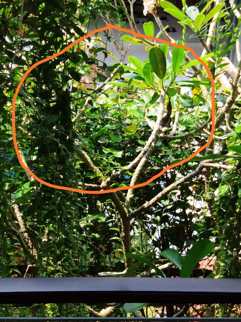 WhatsApp Image 2020-10-03 at 1.36.15 AM.jpeg