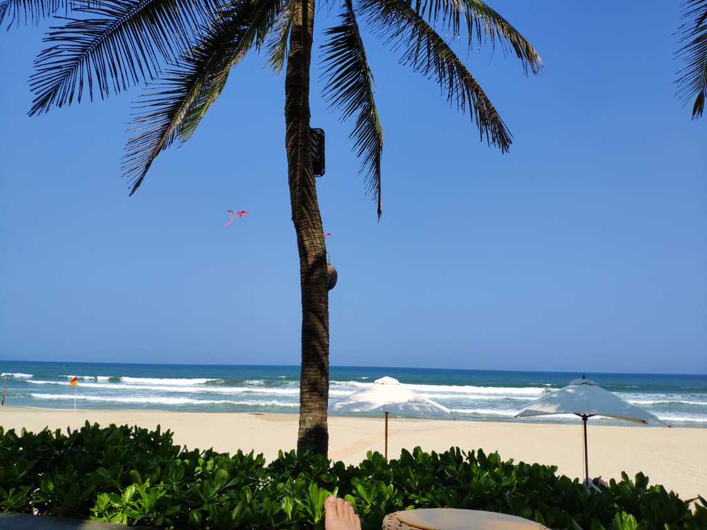 WhatsApp Image 2020-10-03 at 1.28.24 AM.jpeg