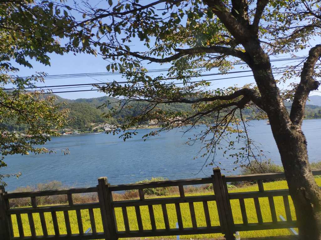 WhatsApp Image 2020-10-07 at 1.27.07 PM.jpeg