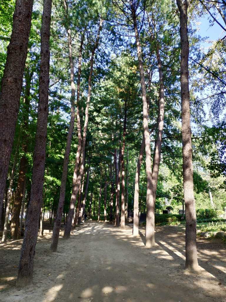 WhatsApp Image 2020-10-07 at 1.27.06 PM.jpeg