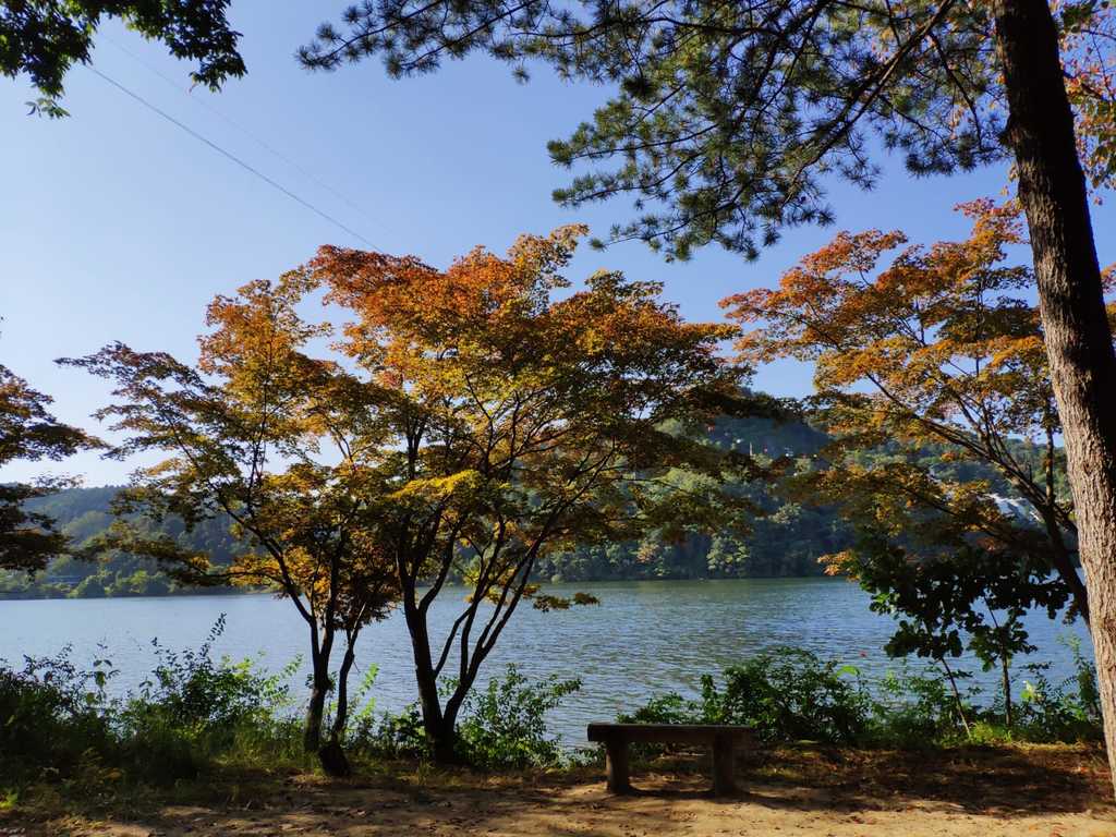 WhatsApp Image 2020-10-07 at 1.27.05 PM.jpeg