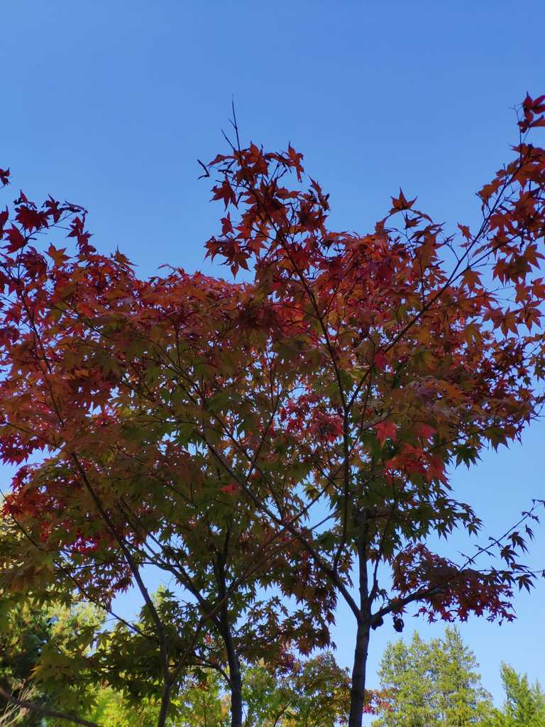 WhatsApp Image 2020-10-07 at 1.27.03 PM.jpeg