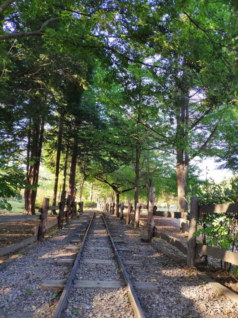 WhatsApp Image 2020-10-07 at 1.32.52 PM (1).jpeg