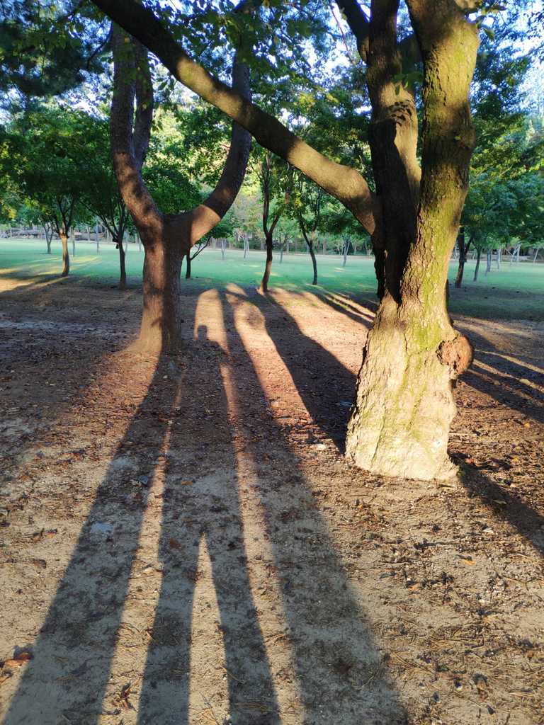 WhatsApp Image 2020-10-07 at 1.32.51 PM (1).jpeg