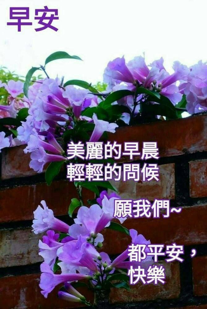 39fde07fec063a7e1101293d19e5d1b8.jpg