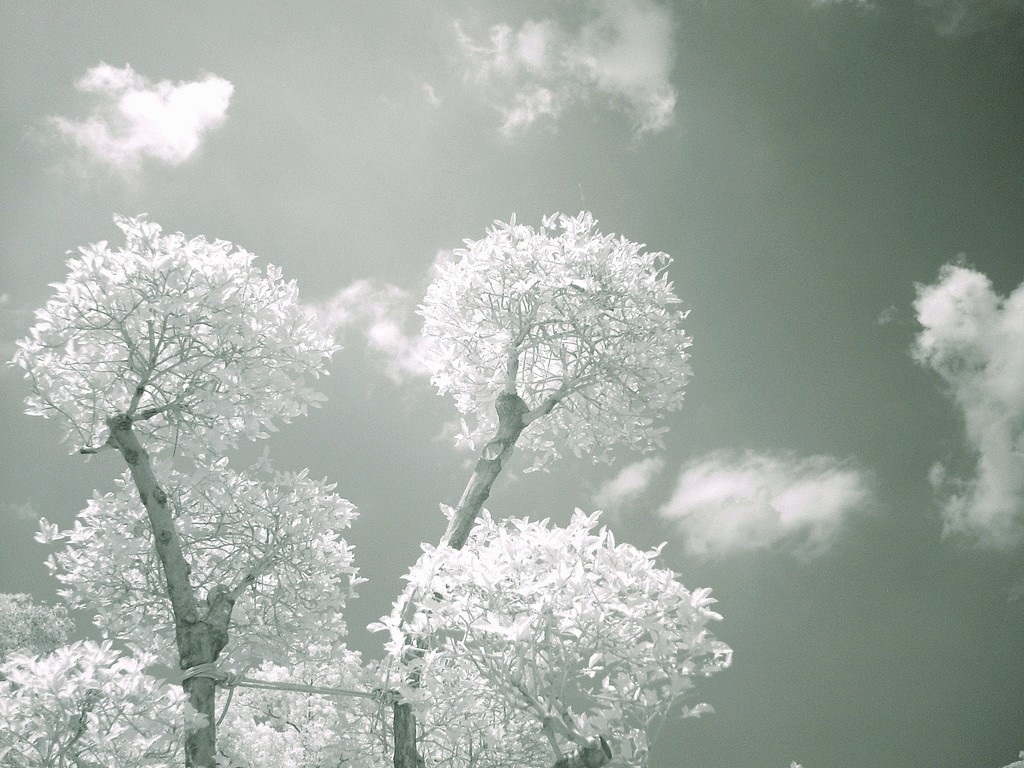 Photo editing_Cloud20200902_14.jpg